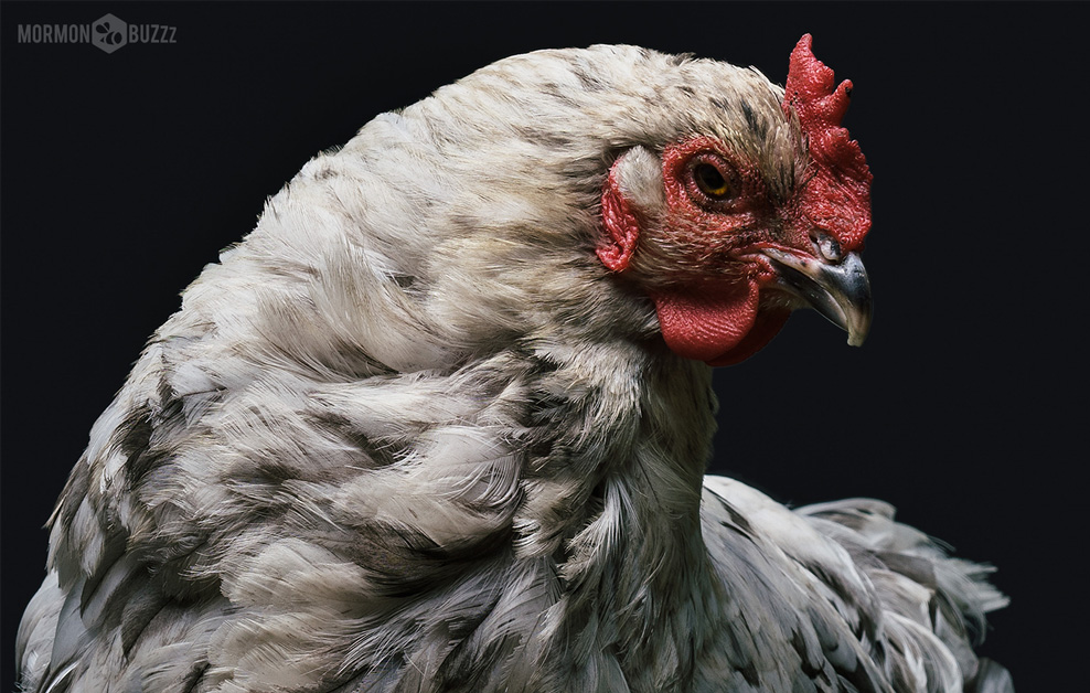 If You Think You Would Never Leave the Church, Think Again